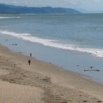 Summerland beach, California, 110 years after the oil field.