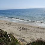 Summerland Beach after well remediation