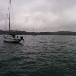 Sailboat moored in Tomales Bay
