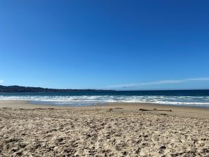 View of the Pacific Ocean on a clear day from a beach.