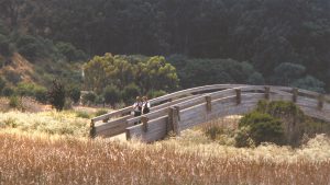 People walking on a trail in the East Bay Regional Park District.