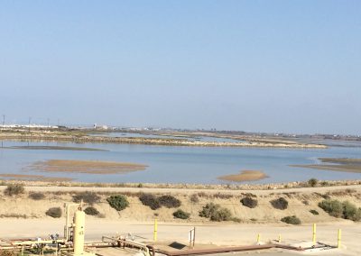 View of the wetlands from the parking lot at Bolsa Chica.