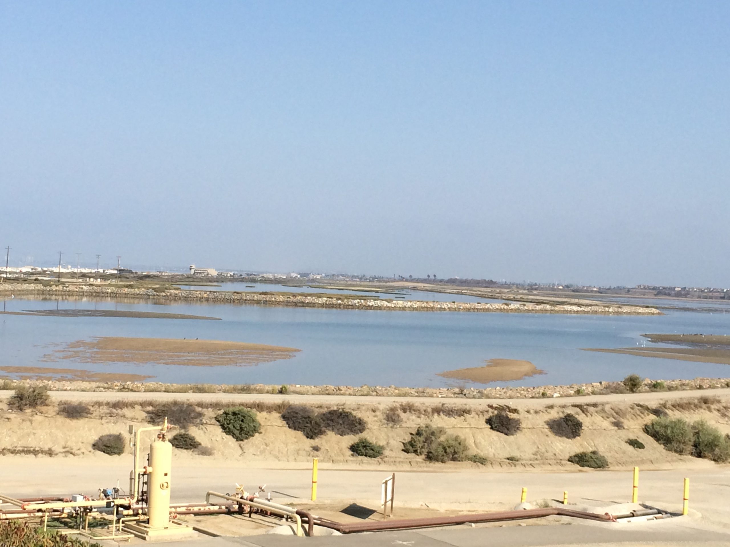 View of the wetlands from the parking lot at Bolsa Chica.