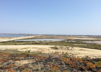View of the wetlands from the parking lot at Bolsa Chica.