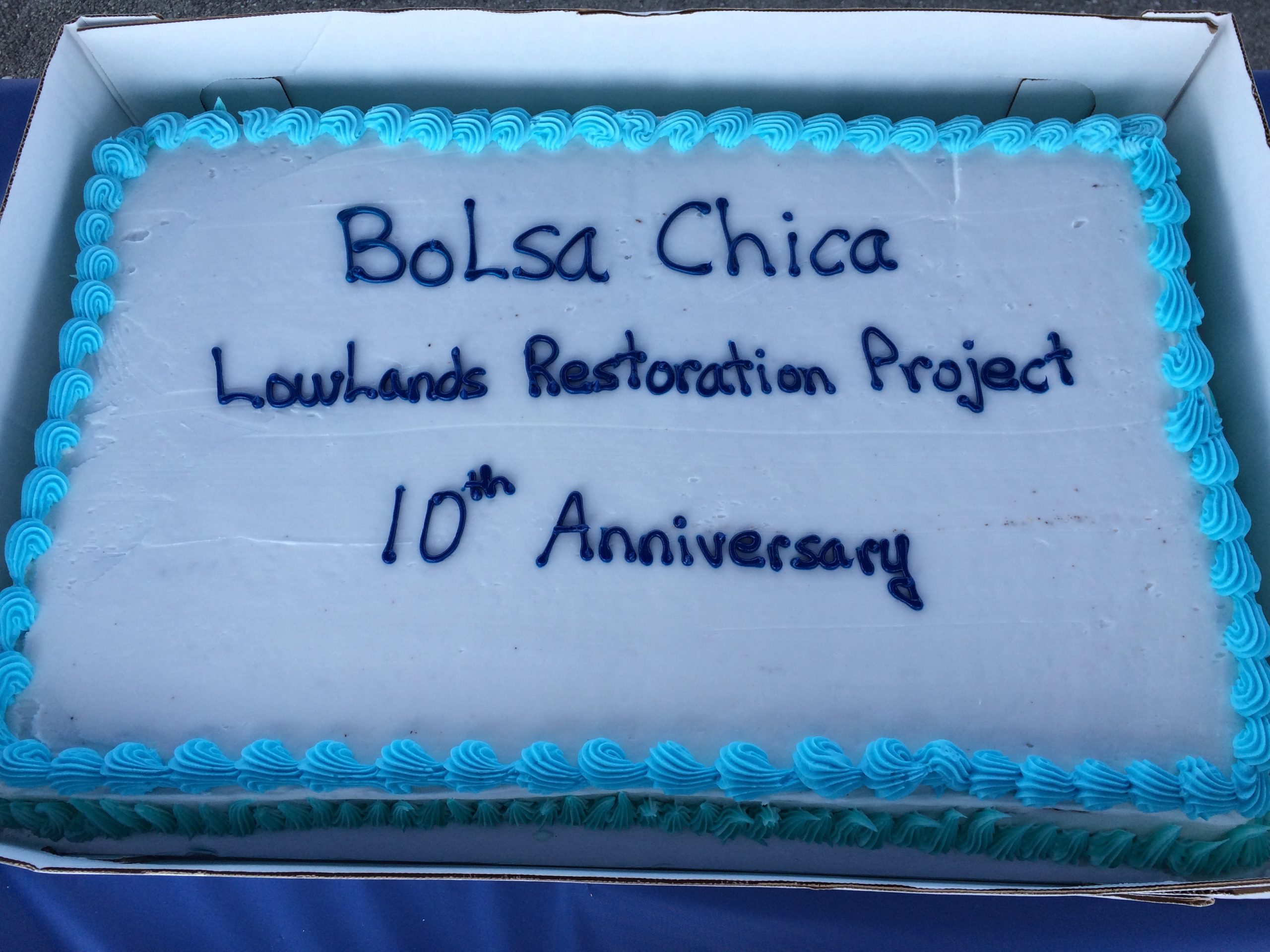 Cake celebrating the 10th anniversary of the Bolsa Chica Lowlands Restoration Project.
