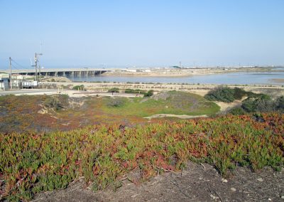 View of the wetlands from the parking lot at Bolsa Chica.