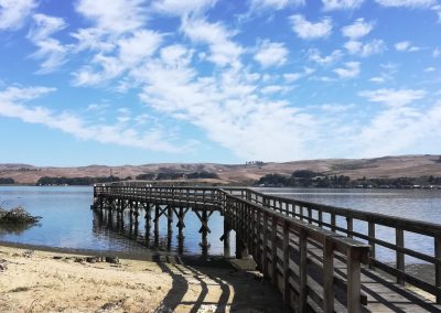Dock in Tomales Bay, Marin County.