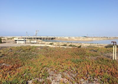 View of the wetlands from the parking lot at Bolsa Chica.