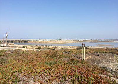 View of the wetlands from the parking lot at Bolsa Chica.