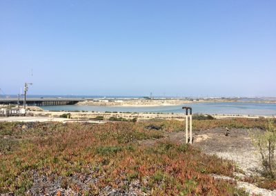 View of the wetlands from the parking lot at Bolsa Chica.