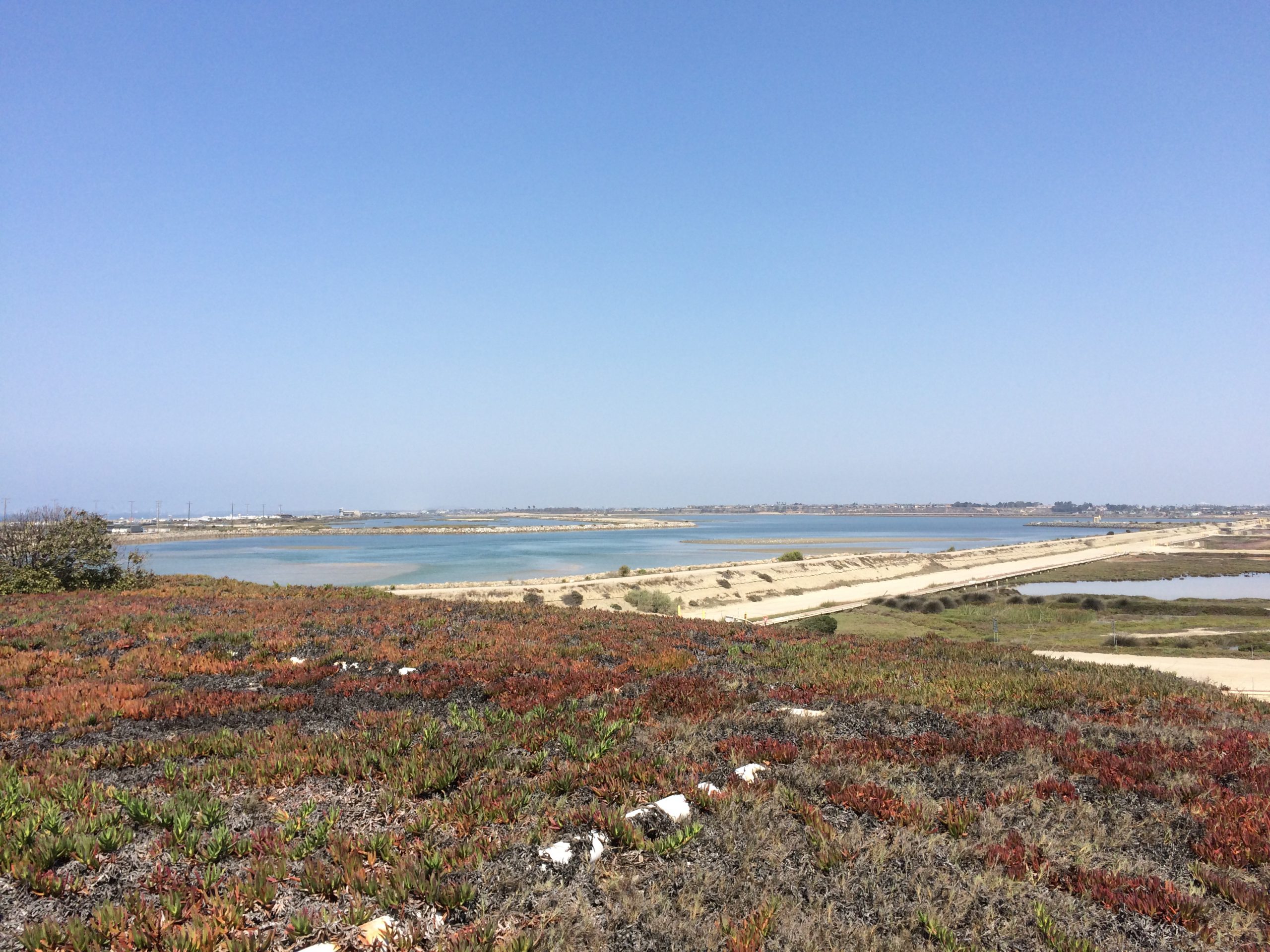 View of the wetlands from the parking lot at Bolsa Chica.