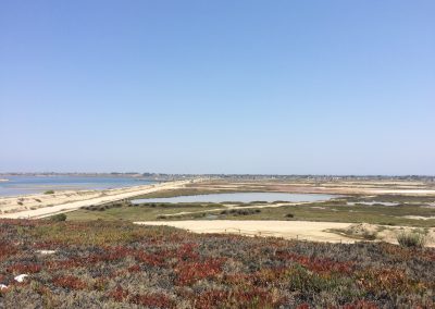 View of the wetlands from the parking lot at Bolsa Chica.