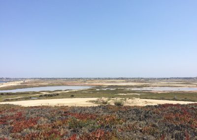 View of the wetlands from the parking lot at Bolsa Chica.