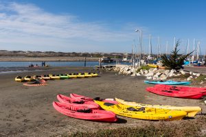 Kayaks on the beach, waiting to be rented