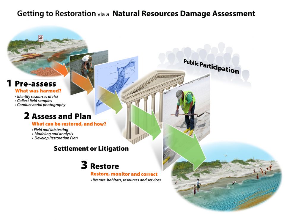 The Natural Resource Damage Assessment (NRDA) Process showing the order of specific actions to achieve restoration.