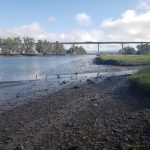 North View of Napa River towards Proposed Pipeline Replacement Alignment