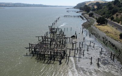 Eckley Pier Piling Removal Project