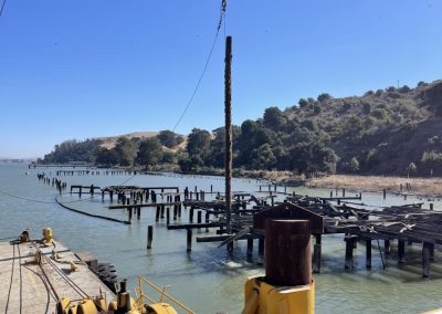 Pier pilings being removed from the water.