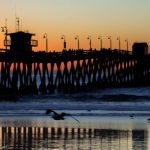 View of the pier from the beach as the sun sets behind and to the left of the pier and seagulls dot the shoreline.