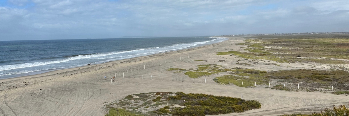 View of the Tijuana River Valley shoreline. Photo by CSLC staff. 