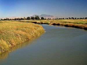 The San Joaquin Delta with Mt. Diablo in the background