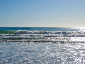 waves in the pacific ocean