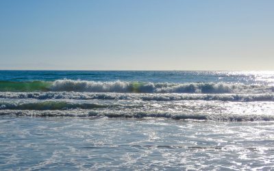 Amendments to Article 4.9 of Chapter 1, Division 3 of Title 2 of the California Code of Regulations