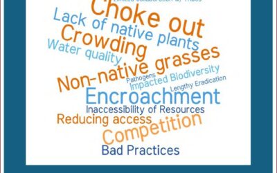 Intern research project: Invasive Species Impacts on Indigenous Communities