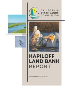 Cover image links to the 2025 Kapiloff Land Bank Report
