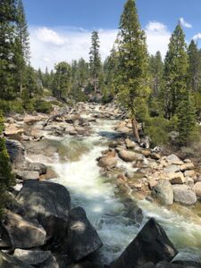 Water flowing over the rocks of a waterfall surrounded by tall pine trees on a sunny day with blue skies and few clouds. Links to report file. 
