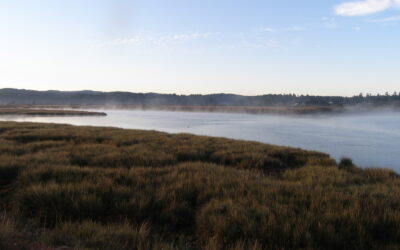 Pacific Gas & Electric Company Rio Dell Feeder 352395524 Project