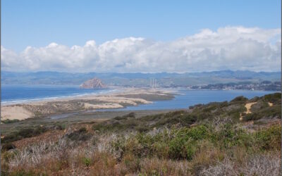 AT&T Japan-U.S. Cable Network Decommissioning (JUS S8 and JUS S9 Cables)