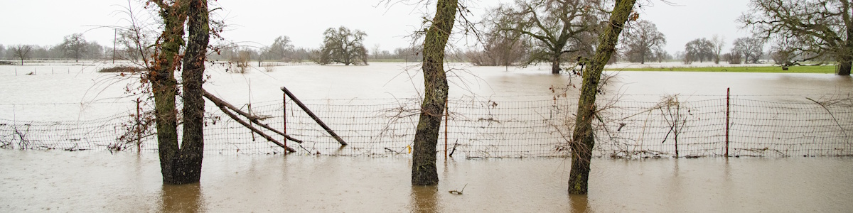 2023 storms swelled the Cosumnes River and flooded properties along Green Rd. in Wilton, located in Sacramento County, California. Florence Low / California Department of Water Resources.